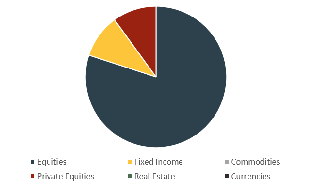 High-risk investment portfolio